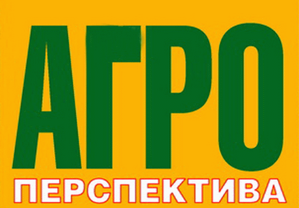 Чиказькі котирування на пшеницю знову злетіли вгору через підвищену активність трейдерів, які масово скуповують контракти.