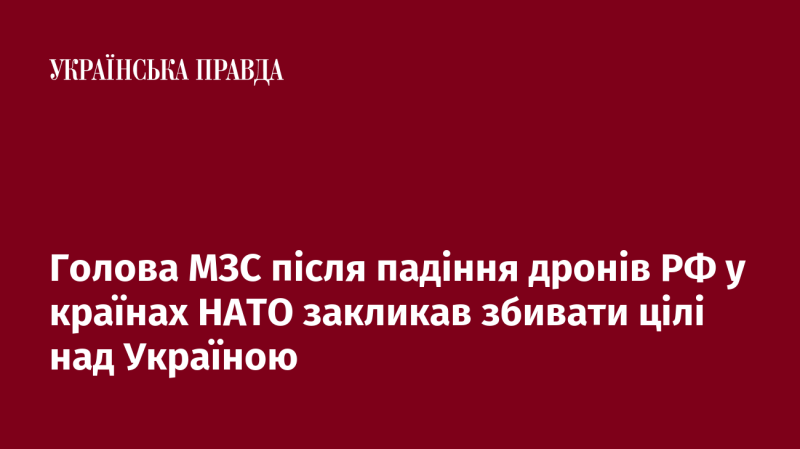 Очільник Міністерства закордонних справ після падіння російських дронів на території країн НАТО закликав до збиття цілей над Україною.