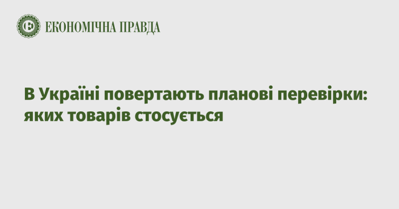 В Україні знову запроваджують планові перевірки: які саме товари підпадають під цю процедуру.