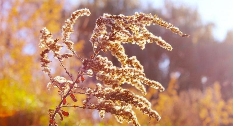 Підвищення температури до +28°: метеоролог повідомив, в яких регіонах України літо ще триватиме.