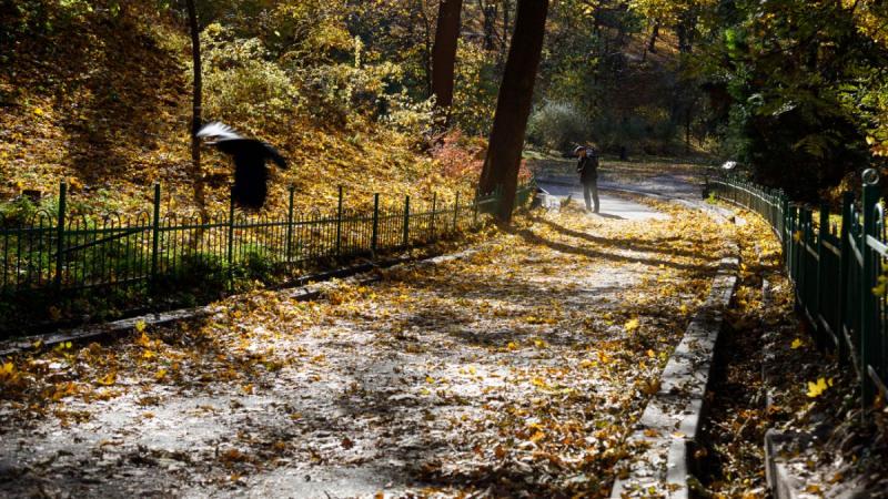 Прогноз погоди в Україні на 25 жовтня: температура повітря набуде стабільності.