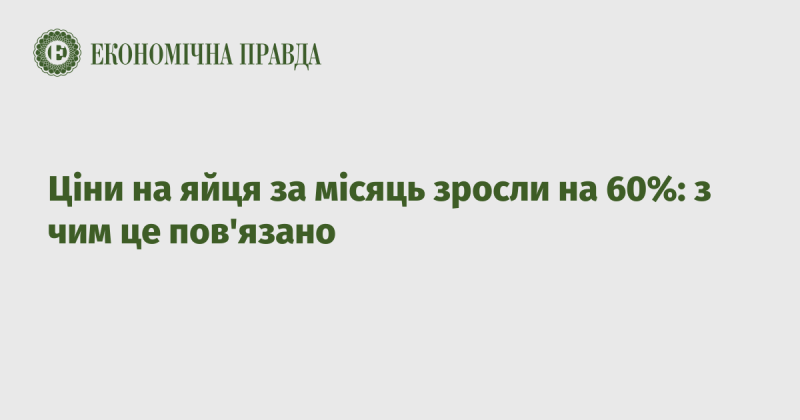 Протягом останнього місяця вартість яєць підвищилася на 60%: які причини цього зростання?