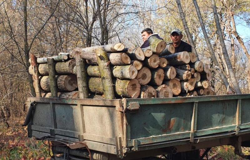 Шмигаль висловив свою позицію щодо суперечливого закону 