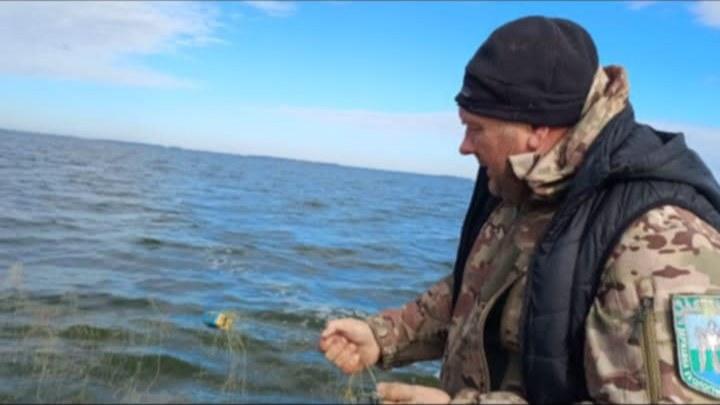 Вирубка лісів, лов риби та забруднення територій: Державна екологічна інспекція про найзначніші правопорушення за тиждень